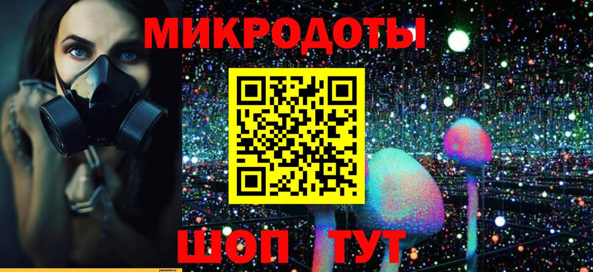 Псилоцибиновые грибы Psilocybine cubensis  Вход с VPN  Карталы  Галлюциногенные грибы Cubensis 