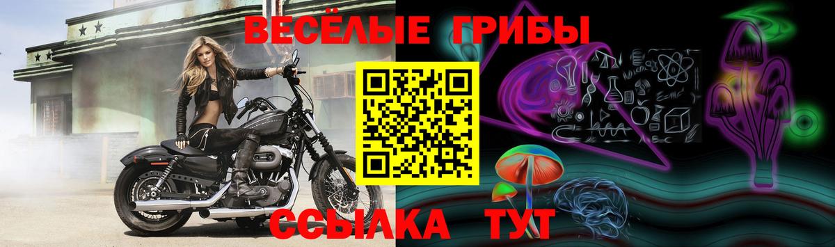 Галлюциногенные грибы прущие грибы Карталы